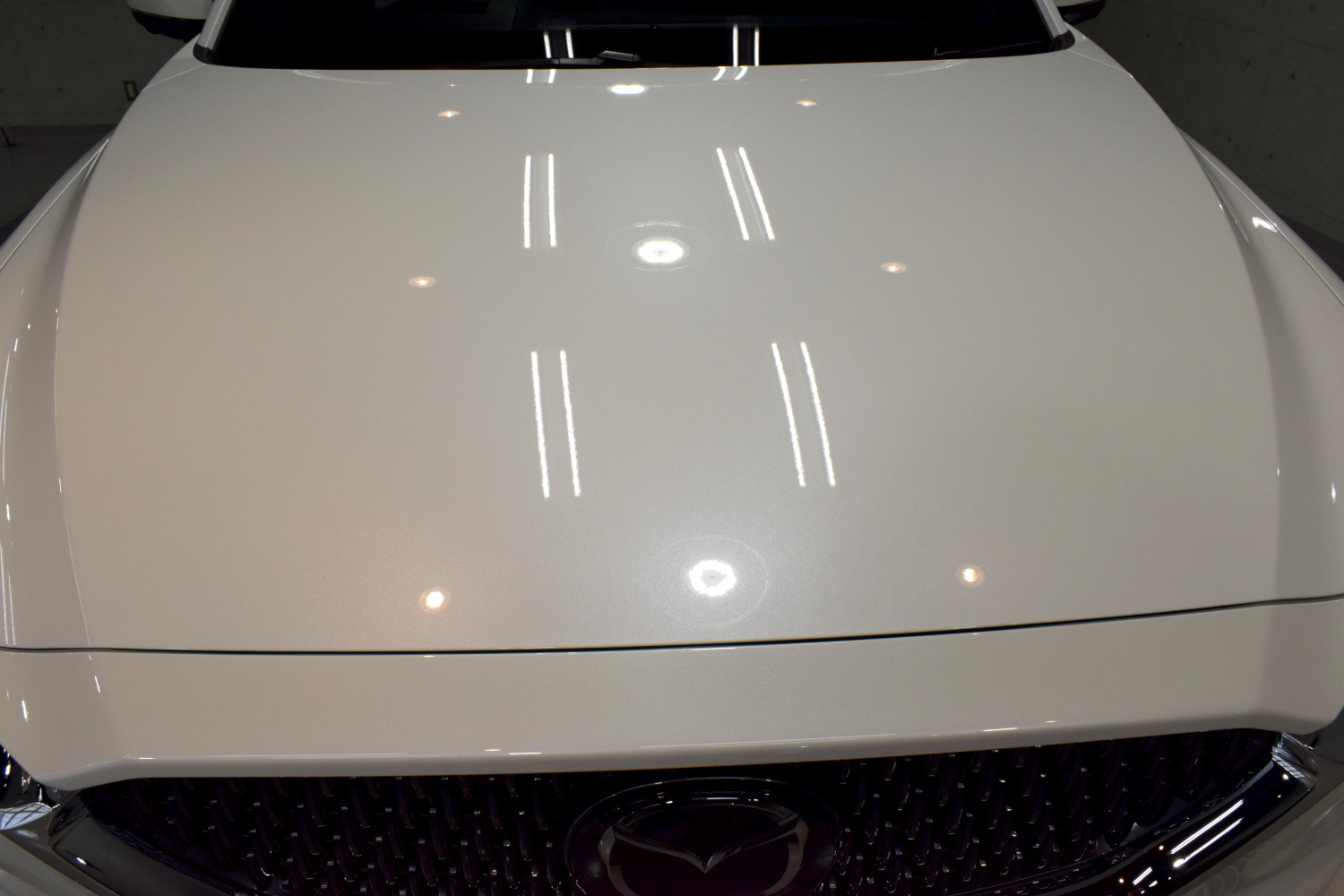 20220403cx82.jpg