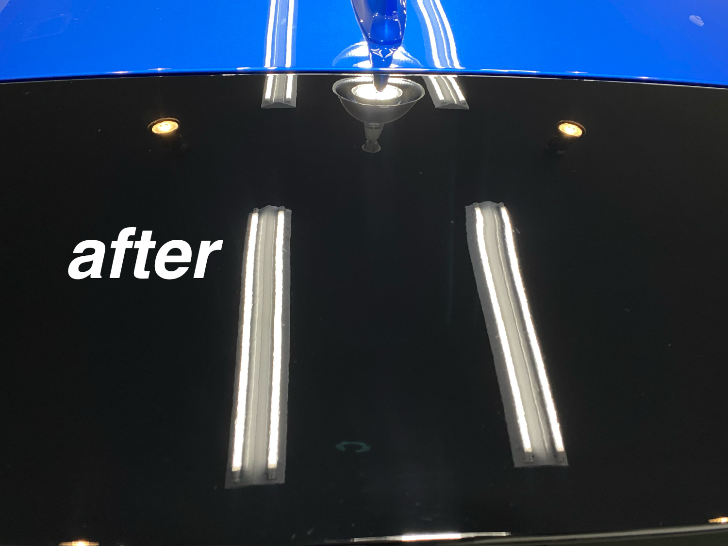 20220526harrier22.jpg