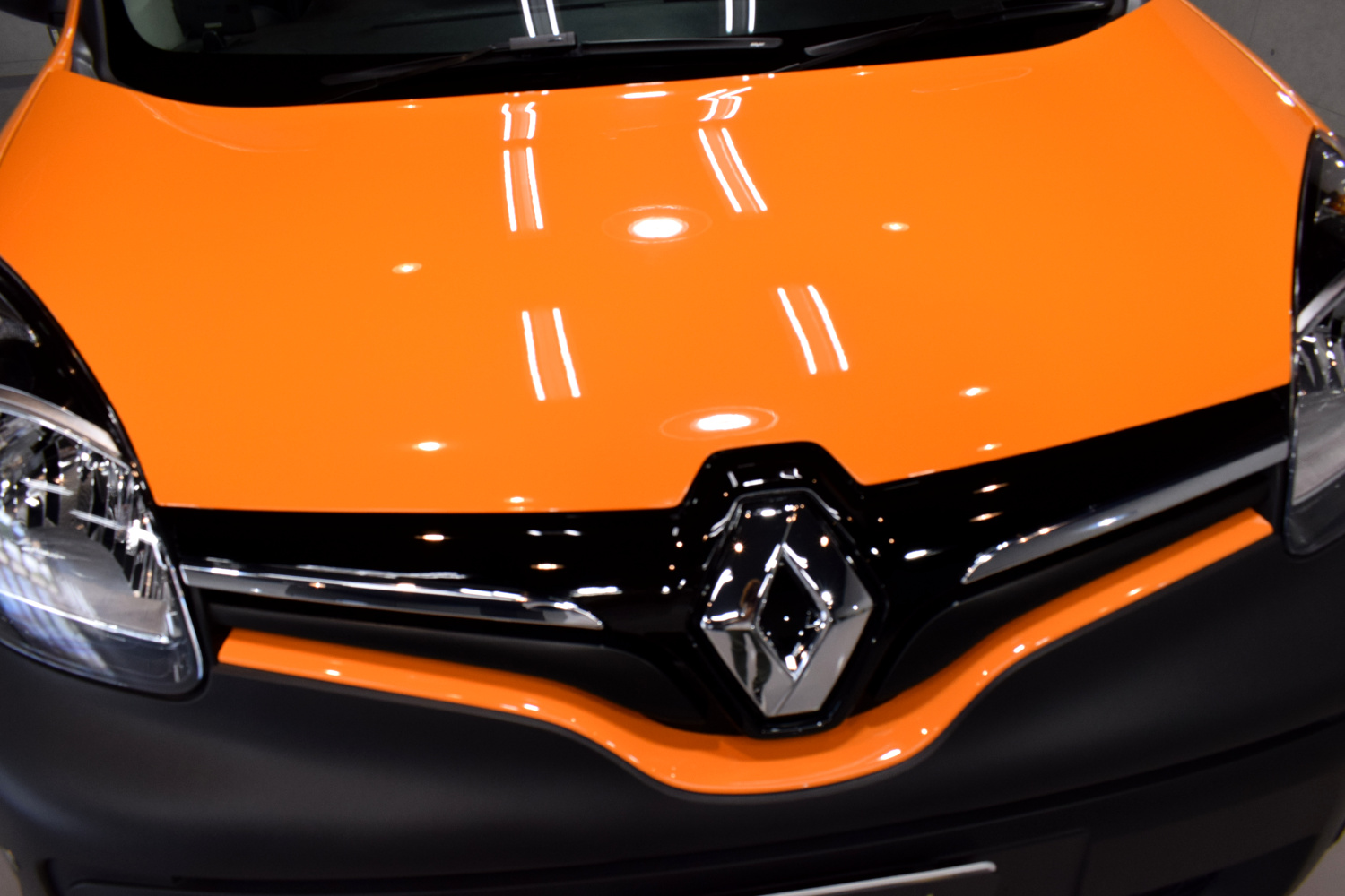 20220910kangoo2.jpg