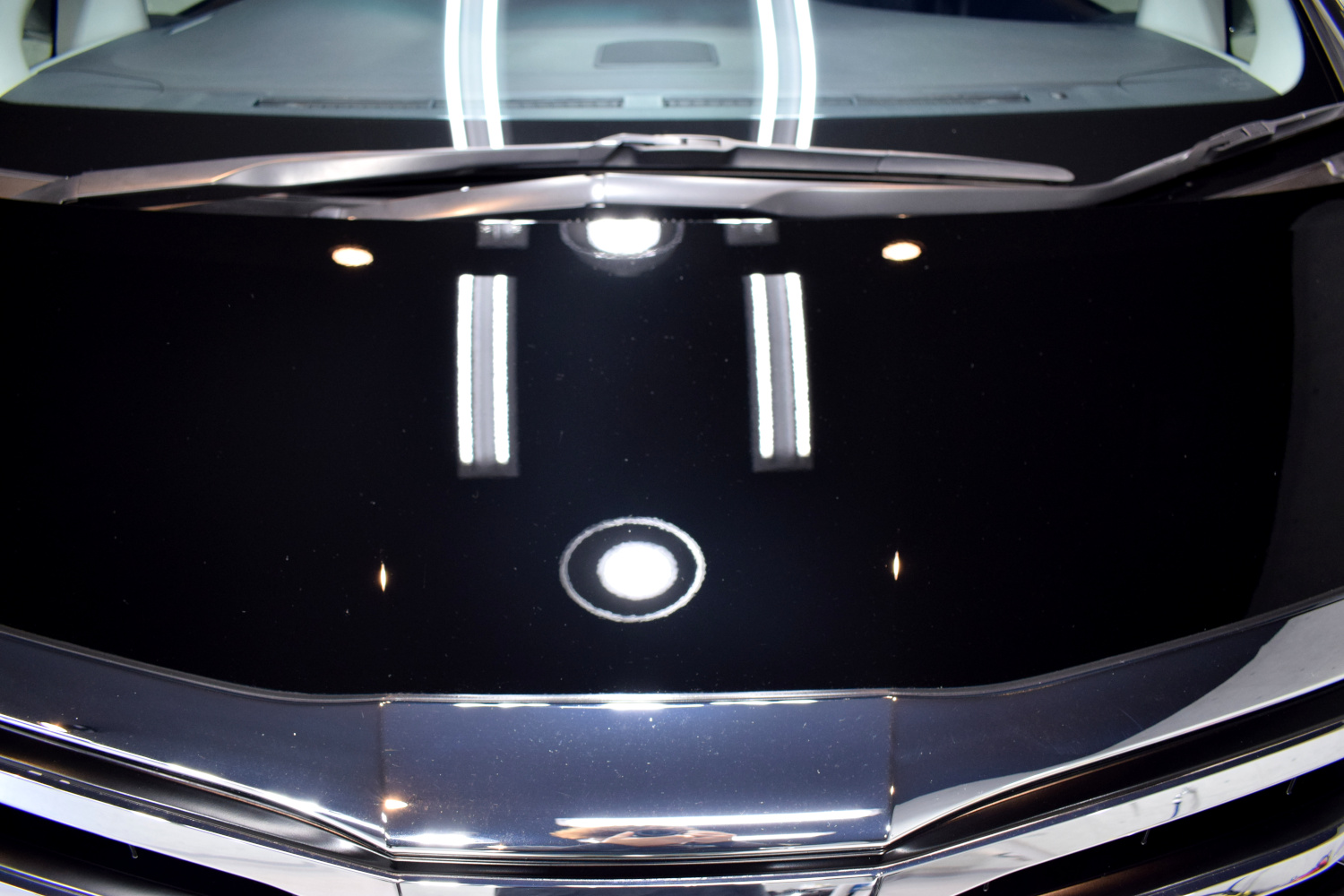 20221010alphard2.jpg