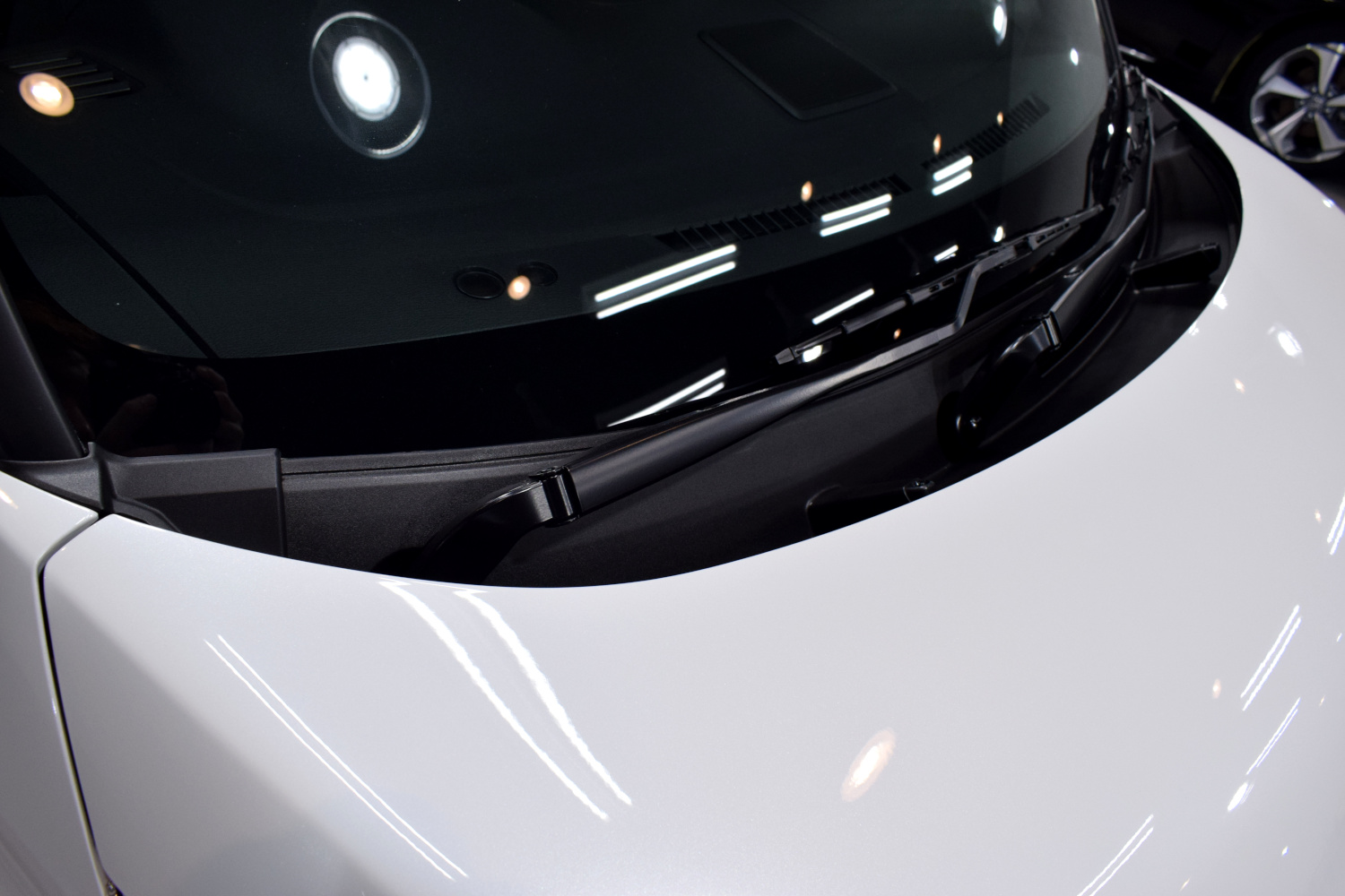 20230324roox7.jpg