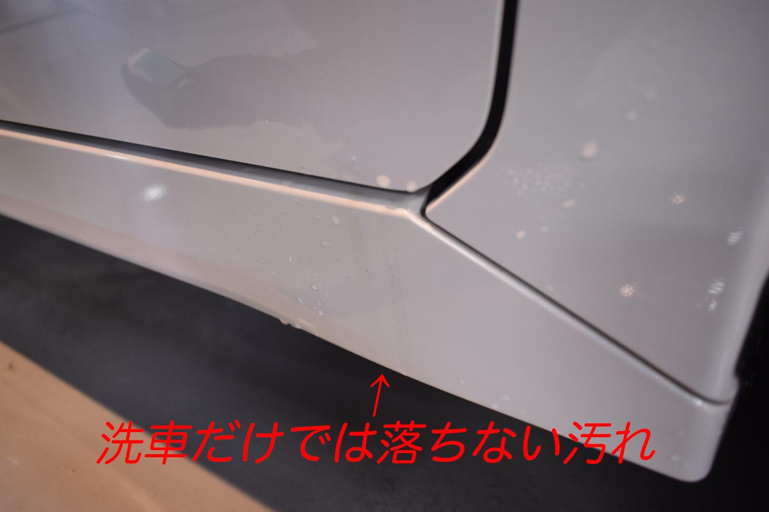 20230406roox10.jpg