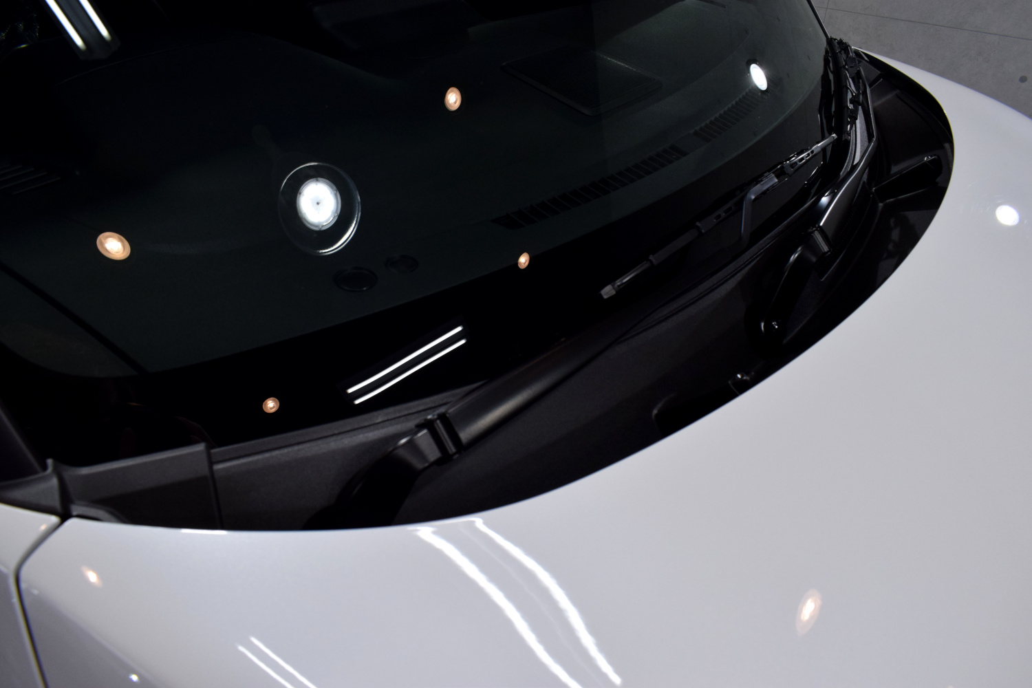 20230406roox7.jpg