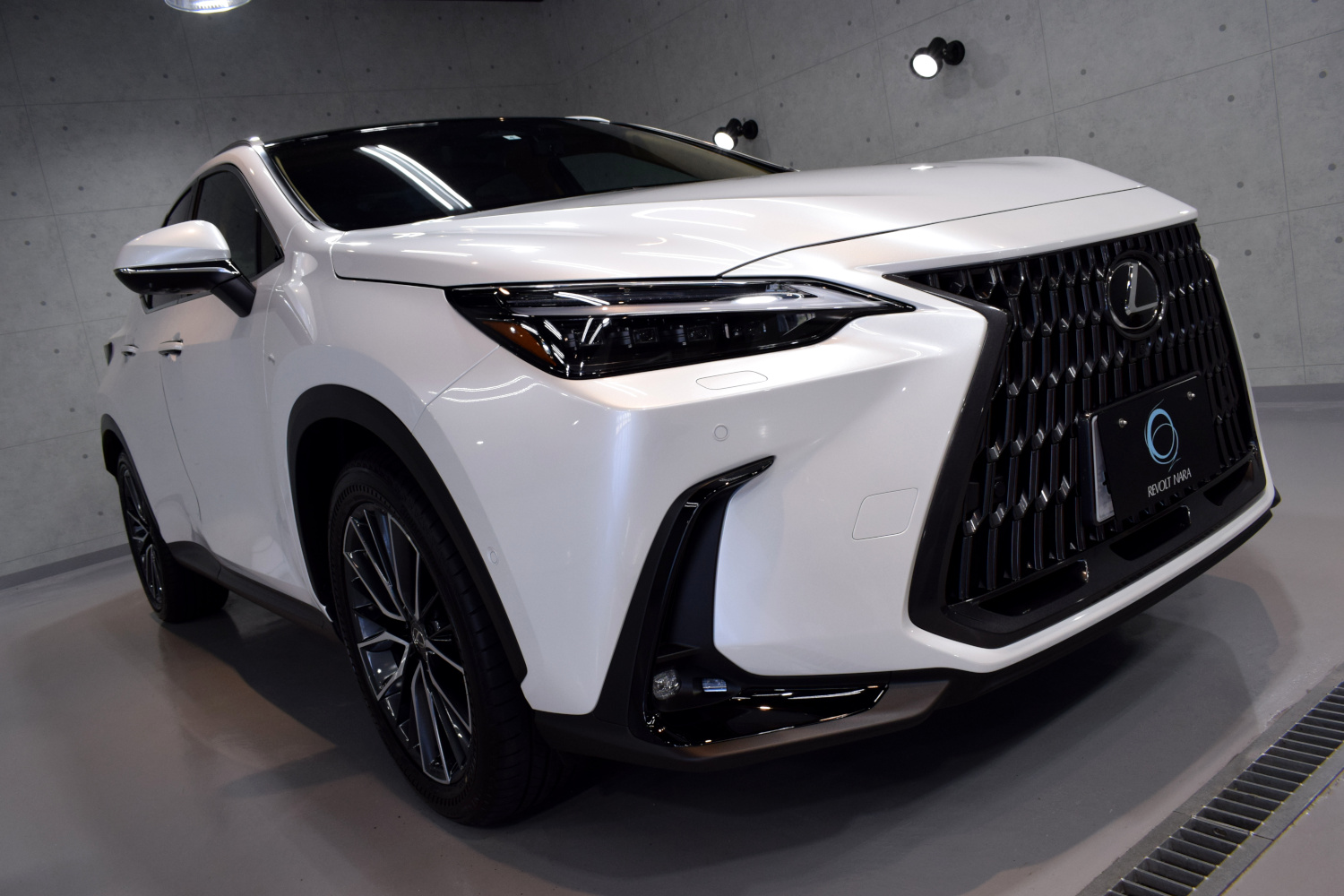 20230617nx1.jpg