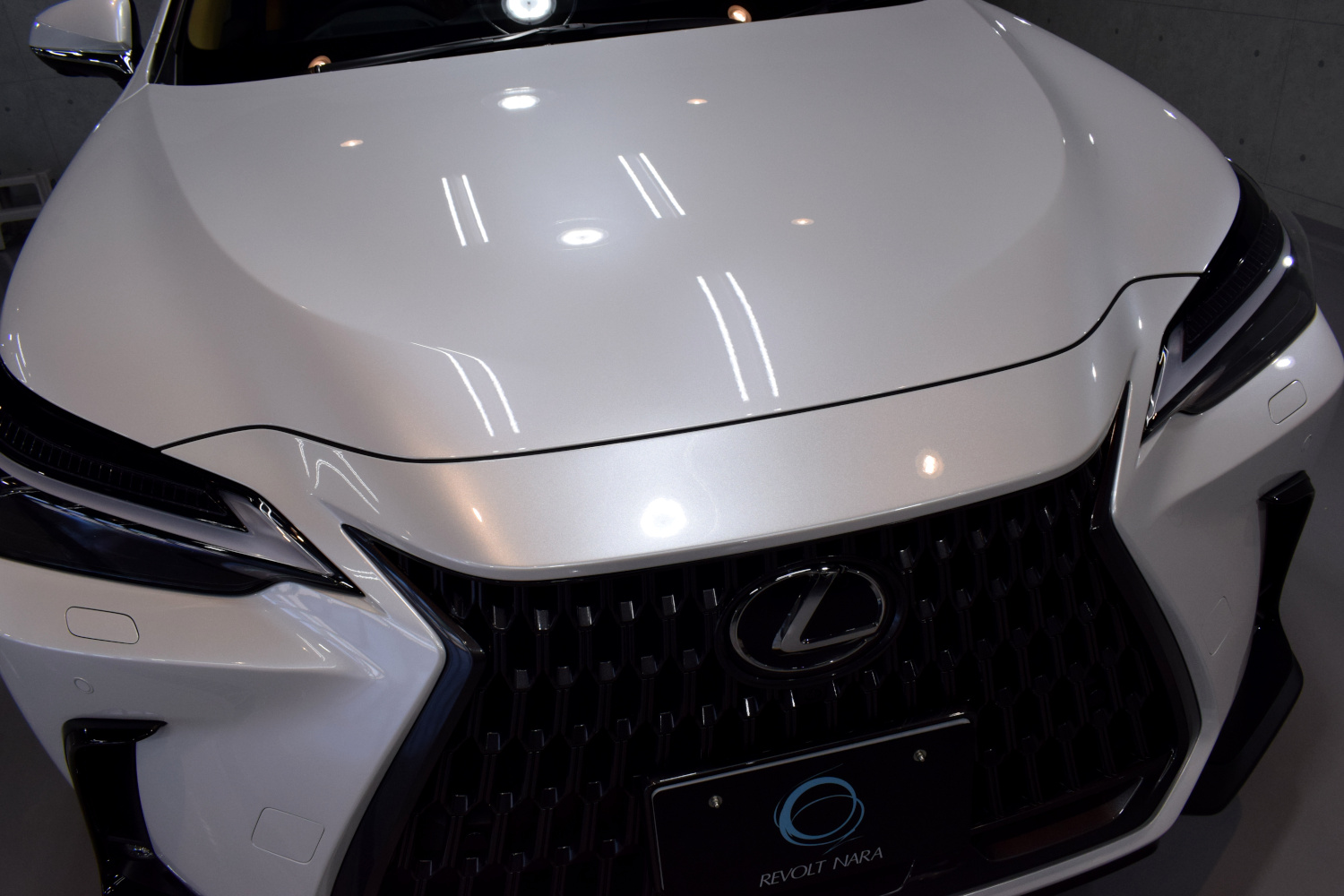 20230617nx2.jpg