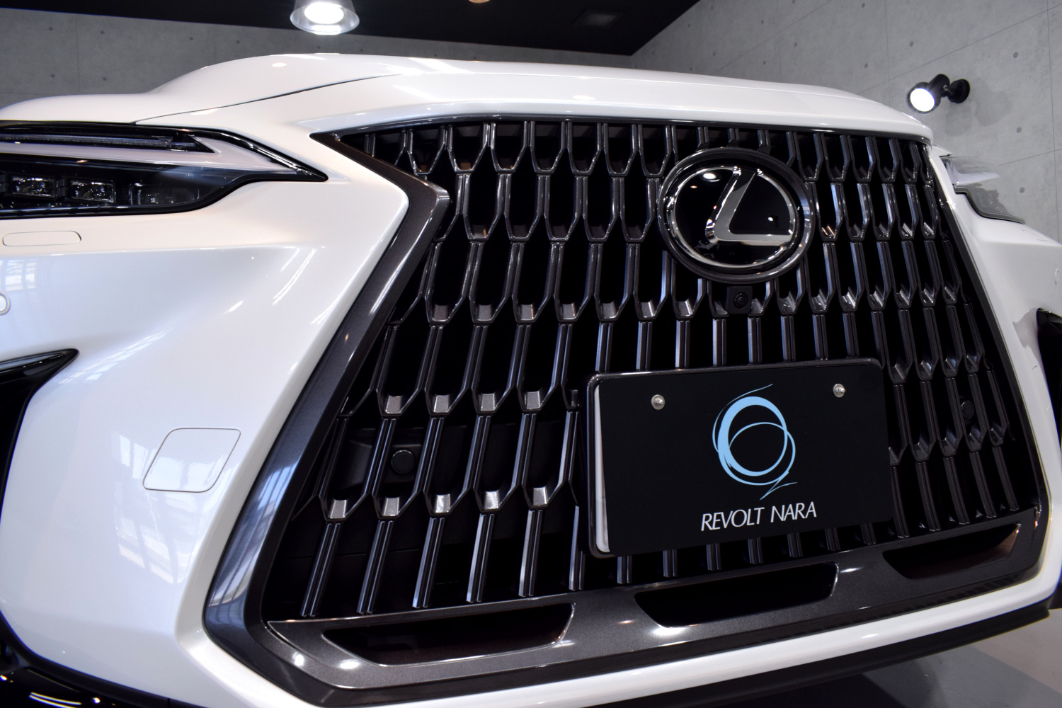 20230617nx3.jpg