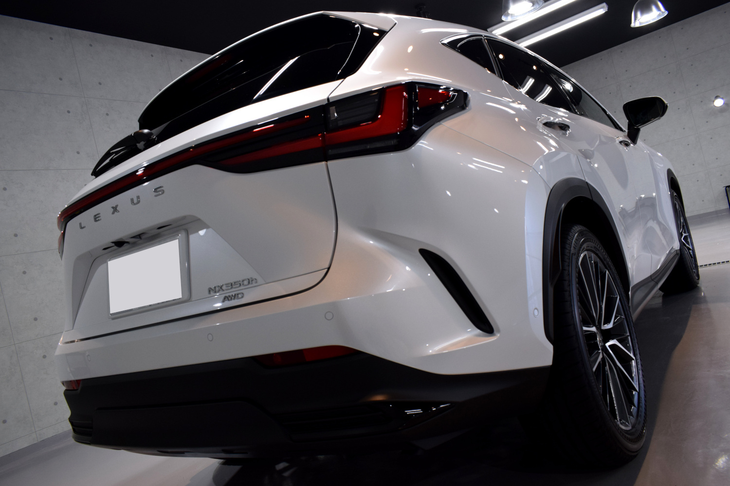 20230617nx6.jpg